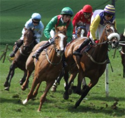 Horse racing at Burt earlier this year.
